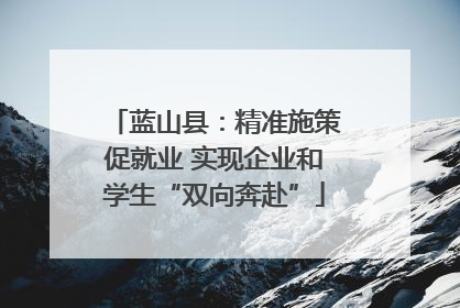 蓝山县：精准施策促就业 实现企业和学生“双向奔赴”